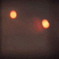 Run Away Oh No GIF by G5 games