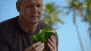 natgeochannel gordon ramsay uncharted laos national geographic uncharted GIF