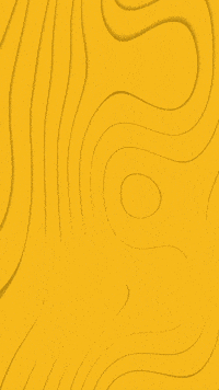 Motion Background GIF by Trakto