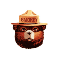 Smokey The Bear Sticker by 스모키베어