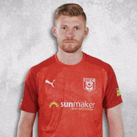 Chemie Halle Hfc GIF by HallescherFC