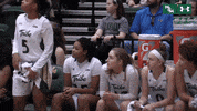 tribeathletics gotribe tribeathletics otod tribe basketball GIF