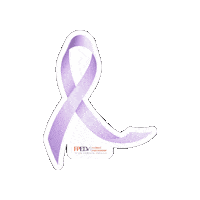 Domestic Violence Awareness Sticker by Florida Free From DV