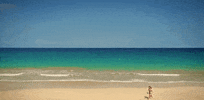 hawaii GIF