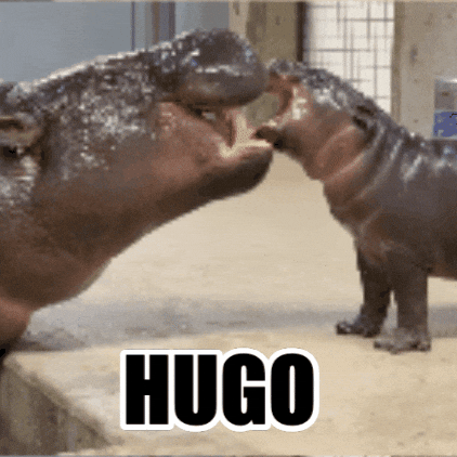 Pygmy Hippo Baby GIF by John Ball Zoo