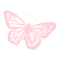 SpiritusNaturae bebe papillon carte étape spiritusnaturae Sticker