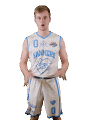 Basketball Shooting Sticker by Landstede Hammers