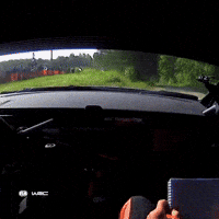 Hold On Oops GIF by FIA World Rally Championship