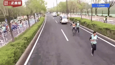 whatphilosophise giphyupload GIF