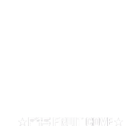 Sport Wow Sticker by F45 Training Fruit Cove
