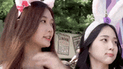 K Pop S1 GIF