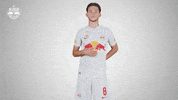 Football Sport GIF by FC Red Bull Salzburg