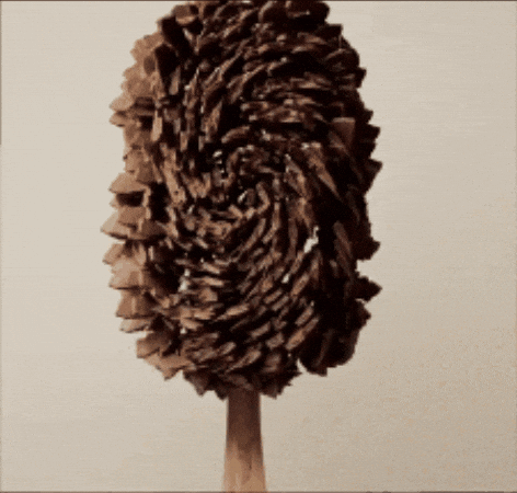 CarolineDenby giphyupload GIF
