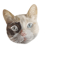 Cats Boo Sticker