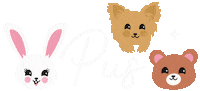Pus Procedura Sticker