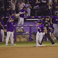 College Sports Sport GIF by LSU Tigers