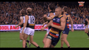 adelaidecrows goal reactions celebrations adelaide crows GIF