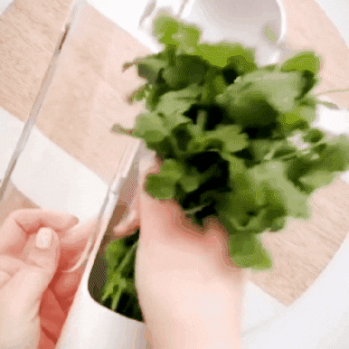 MarketingKompralos giphyupload GIF