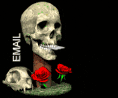 nyxenigma giphyupload GIF