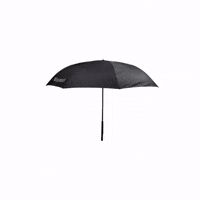 Rain Umbrella GIF by Dayton Naturals