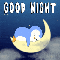 Good Night Sleeping GIF by Pudgy Memez