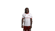 Pereira Nec Sticker by necnijmegen