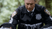 Season 19 Nbc GIF by Law & Order
