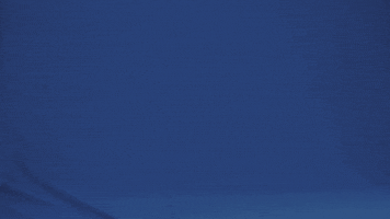 Sub Pop Friends GIF by Sub Pop Records