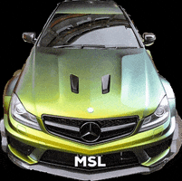 MSL_Team  GIF