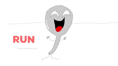 juandimo giphygifmaker run correr contento GIF
