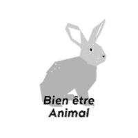 Vegan Rabbit Sticker by KissKissBankBank