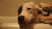 Memories GIF by Conan Gray