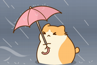 Rain Storm GIF by Bichi Mao