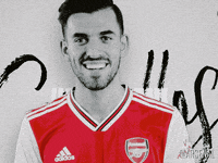 Premier League Yes GIF by Arsenal