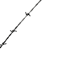 france art Sticker by SDRNSDRN