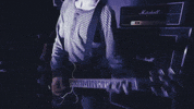 punkrockphoto music music video rock punk GIF