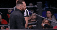 All Elite Wrestling GIF by AEWonTV