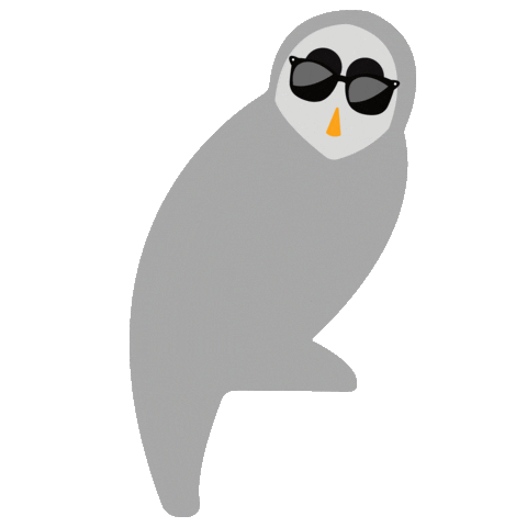 Owl Canberra Sticker by ACT Government