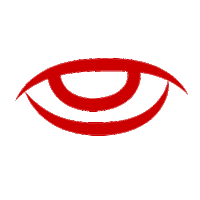 alejandrowl red eye owl view Sticker