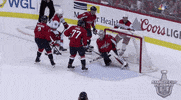 happy ice hockey GIF by NHL