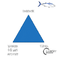 Fish Spain Sticker by Alsherry Experiences