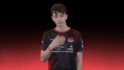 sauberesports no annoyed oh dear sauber GIF