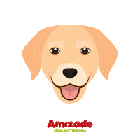 hospitalveterinarioamizade_ dogs pets cachorro amizade Sticker