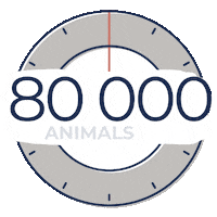 Time Watch Sticker by Planet Vegan