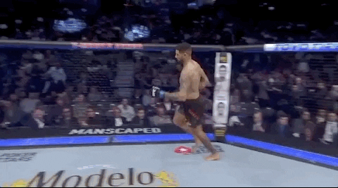 Sport Mma GIF by UFC