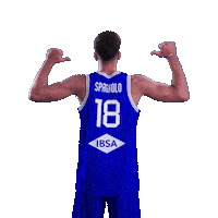 Italia Spagnolo Sticker by Italbasket