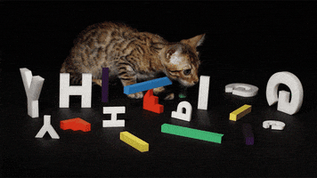 Zoom Backgrounds GIF by GIPHY Cares