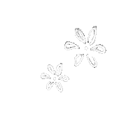 Flower Bunga Sticker
