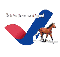 Horse Veterinaria Sticker by Veelabvet