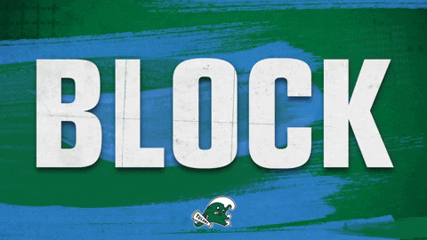 Taylor Volleyball GIF by GreenWave